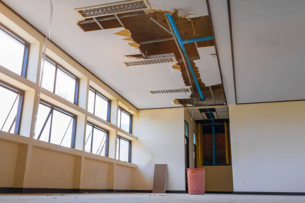 Best Local water damage restoration  in Bridge City, TX