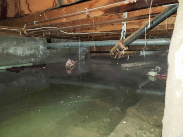 Best Emergency water damage restoration  in Bridge City, TX