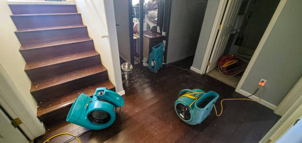 Best Basement water damage restoration  in Bridge City, TX