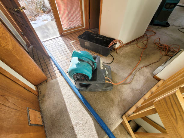 Best Water damage repair service  in Bridge City, TX
