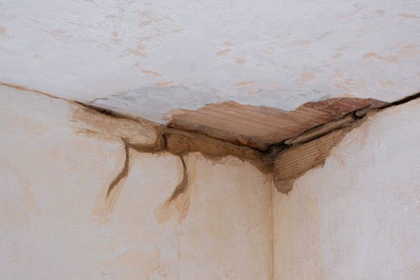 Best Ceiling water damage repair  in Bridge City, TX