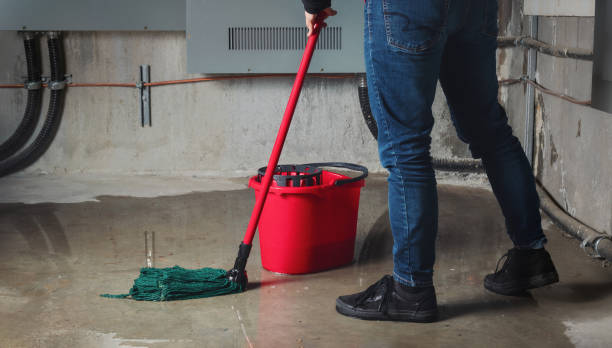 Best Water damage restoration near me  in Bridge City, TX