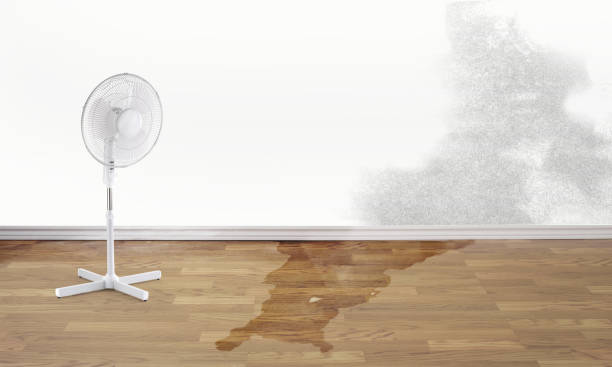 Best Water damage restoration insurance claims  in Bridge City, TX