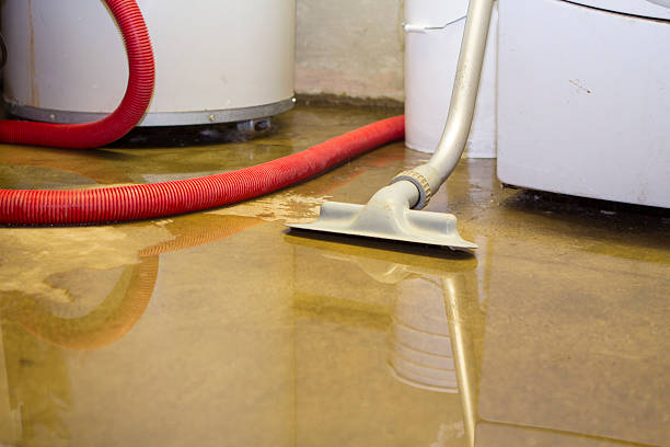 Best Water damage contractors near me  in Bridge City, TX
