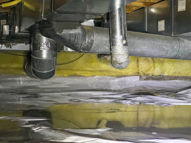 Best 24/7 water damage repair  in Bridge City, TX